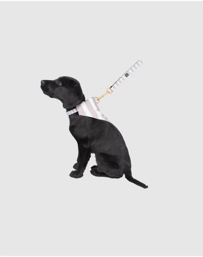 Mog & Bone - Neoprene Dog Collar & Lead- Latte Hamptons Stripe Print