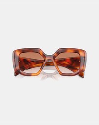 Prada - PR 14ZS