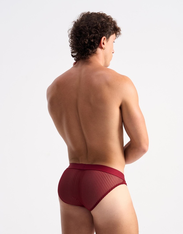 TEAMM8 - Casanova Brief