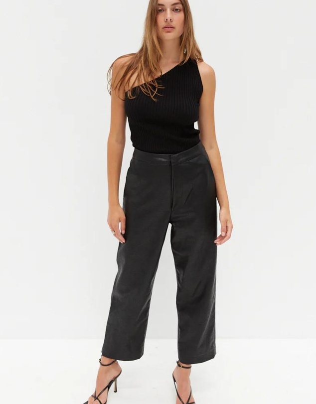 Style Addict - Faux Leather Pants
