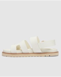 Sandler - Daisy