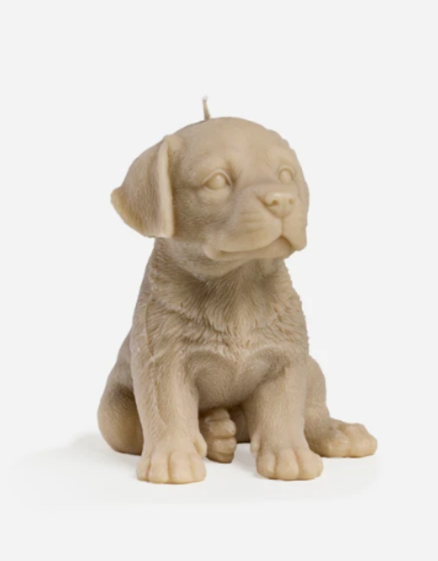 Love Ally - Labrador Candle