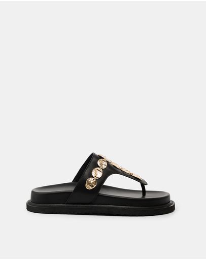 Black / Gold