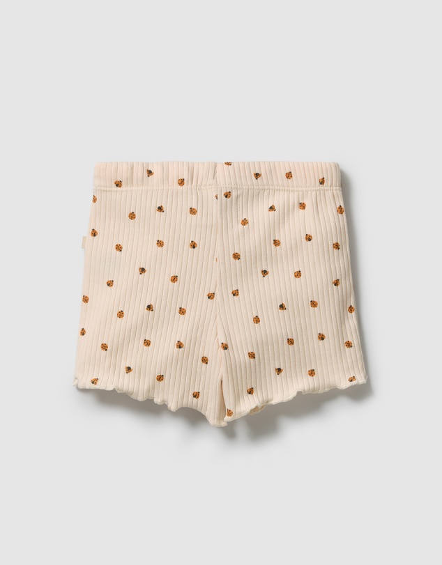Wilson & Frenchy - Organic Shorts - Babies-Kids