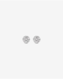 Michael Hill - Round Diamond Cluster Stud Earrings in 10kt White Gold