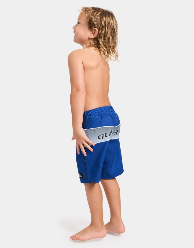 Quiksilver - Boys 2 to 7 Everyday Billboard 13