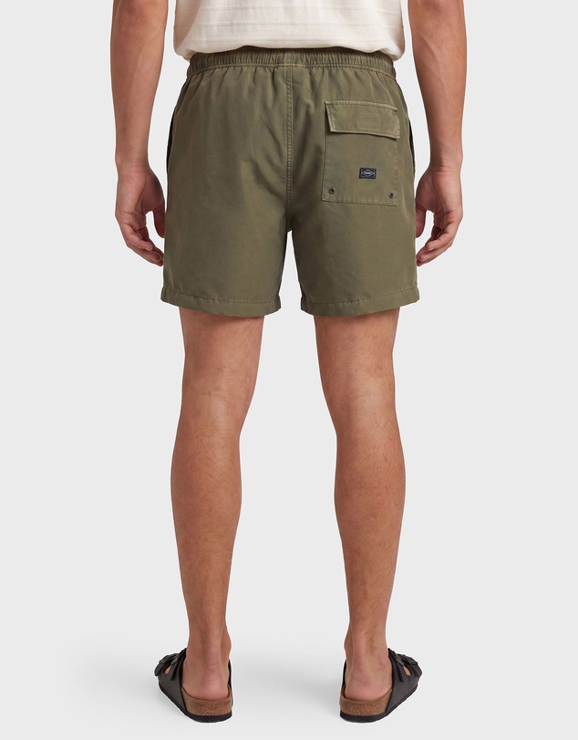 Academy Brand - Teamster Boardy
