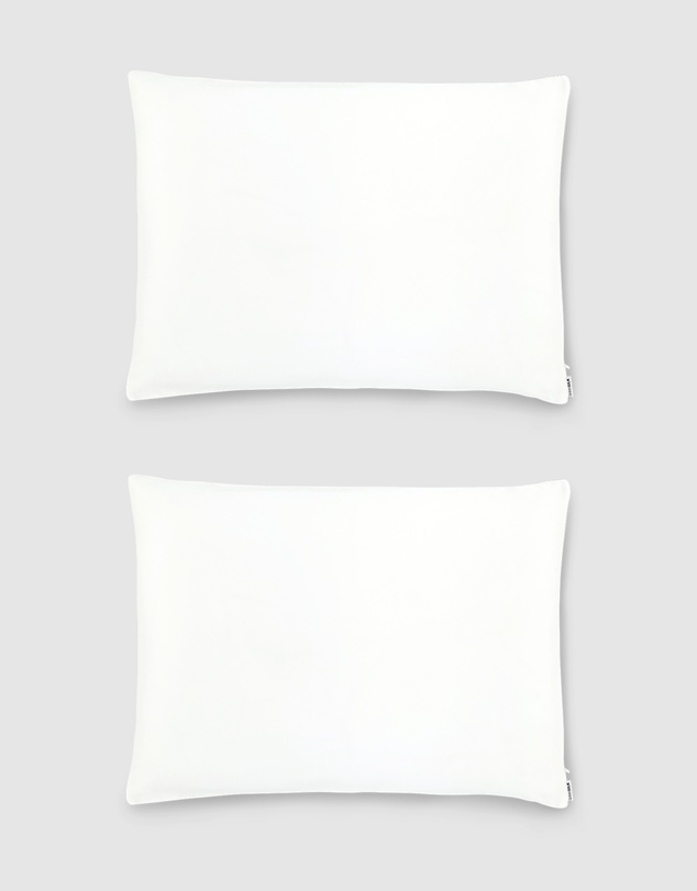 Shhh Silk - Silk Pillowcase Twin Pack - Queen Size