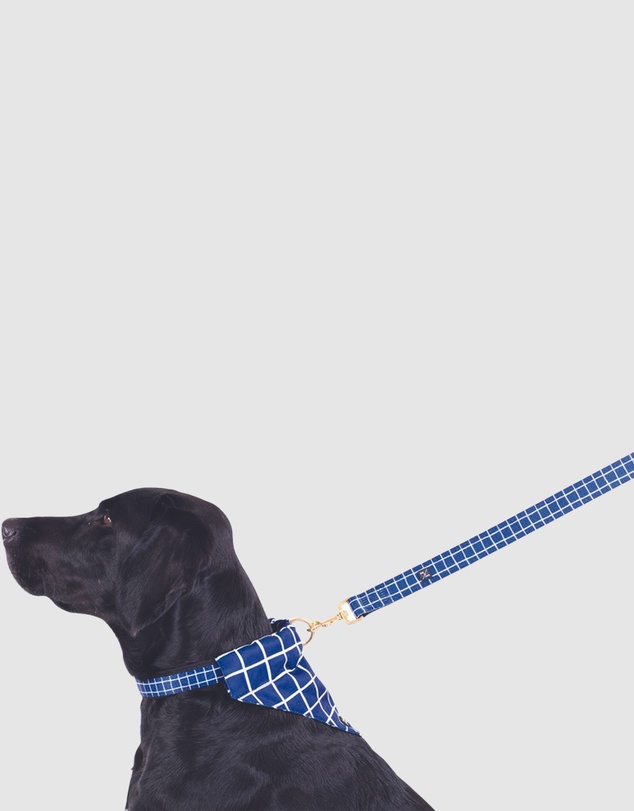 Mog & Bone - Neoprene Lead - Navy Check Print