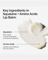 The Ordinary - Squalane + Amino Acids Lip Balm 15ml