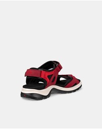 ECCO - ECCO Offroad