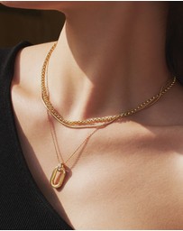 Ania Haie - Gold Classic Rolo Chain Necklace