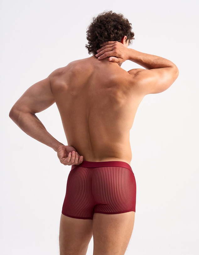 TEAMM8 - Casanova Trunk