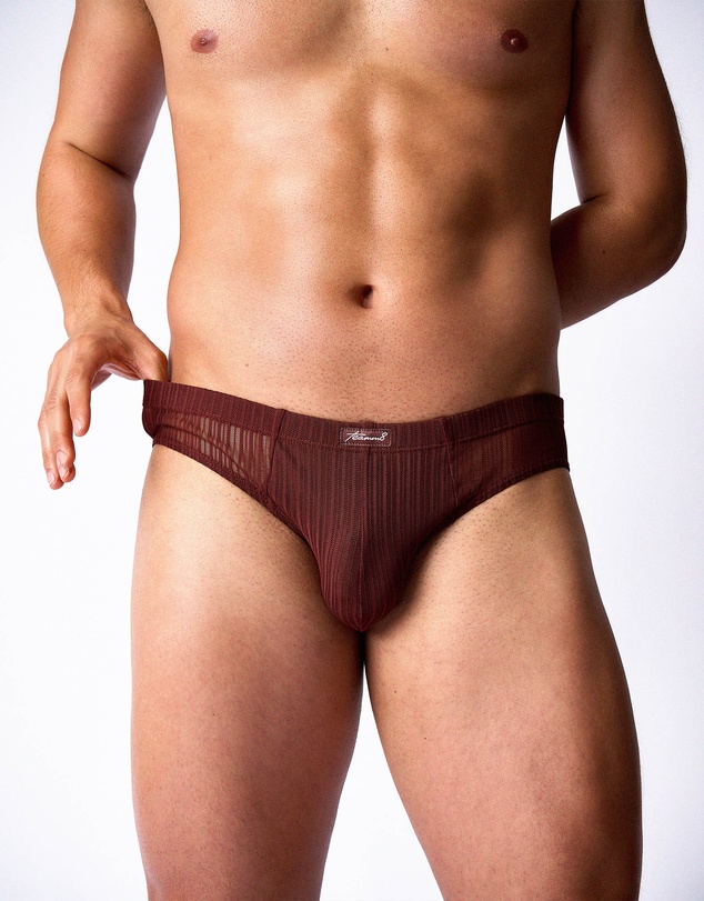 TEAMM8 - Romeo Sheer Bikini Brief