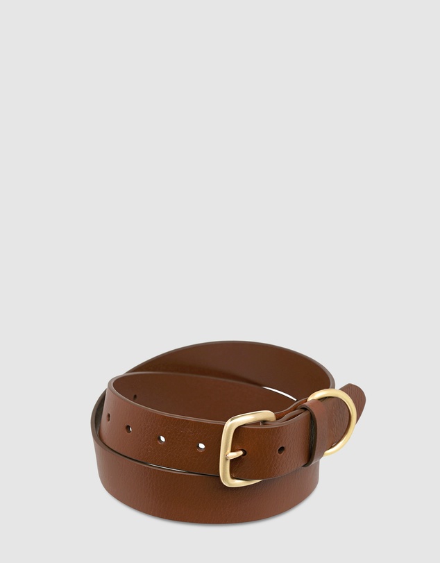 Status Anxiety - Disarm Belt