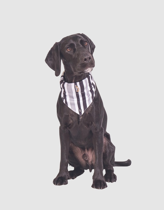 Mog & Bone - Dog Bandana - Pebble Black Brush Stroke Print