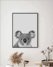 Olive et Oriel - Koala
