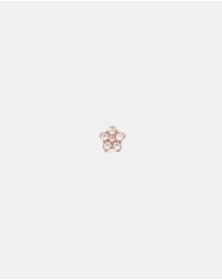 Daniel Wellington - Micro Earring Crystal Star Stud