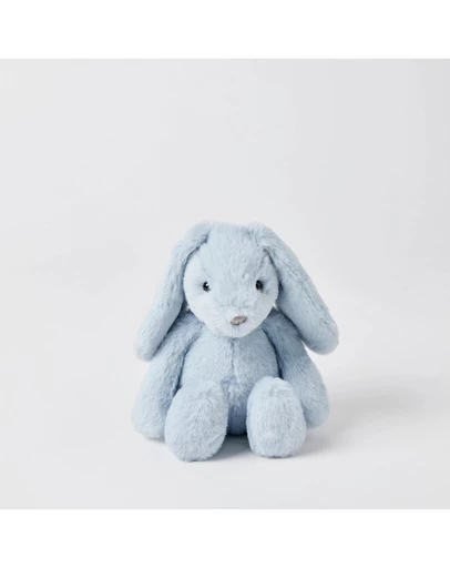 Jiggle and Giggle - Blue Bunny Small