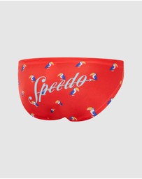 Speedo - E Toucan Brief
