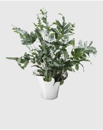 Georg Jensen - Bloom Botanica Flower Pot, Medium