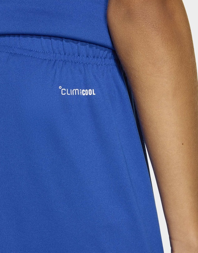 adidas Performance - Entrada26 Football Shorts Kids