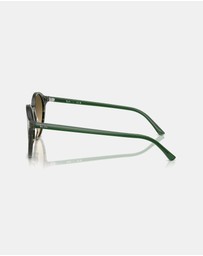 Ray-Ban - Bernard