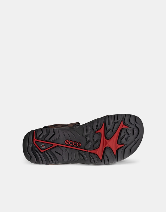 ECCO - ECCO Offroad