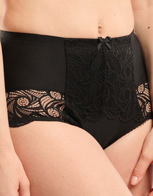 Sans Complexe - Ariane Lace & Microfiber High Waist Brief