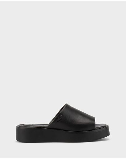 Black & Black
