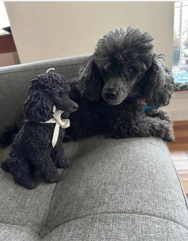 Love Ally - French Poodle Candle
