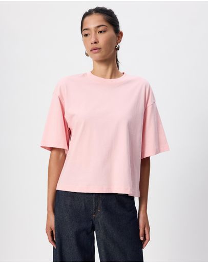 Pink Dusty Light