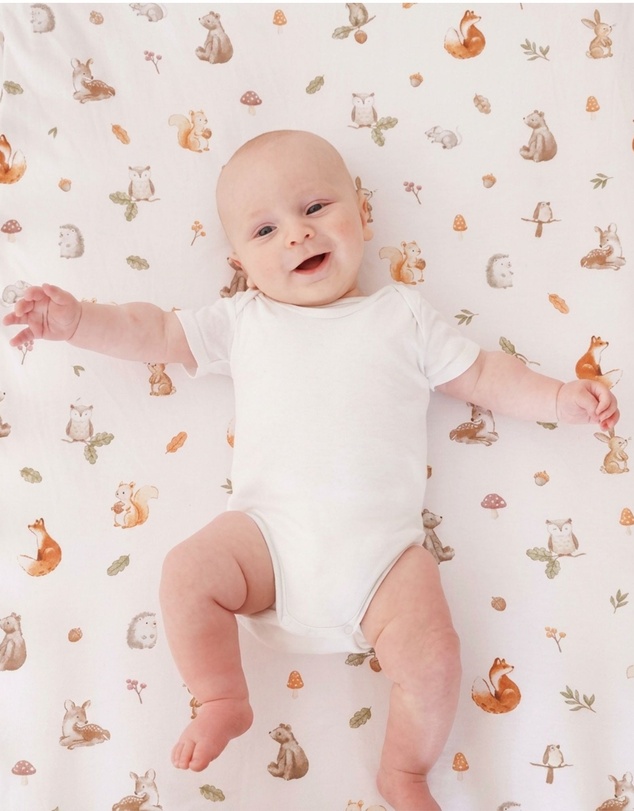 Living Textiles - 2 Pack Organic Cot Fitted Sheet - Fox & Friends