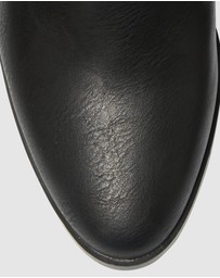 SPURR - Duke - ONLINE EXCLUSIVE