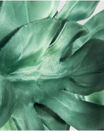 Max Alexander - Mostrera Leafs Green Headband Fascinator