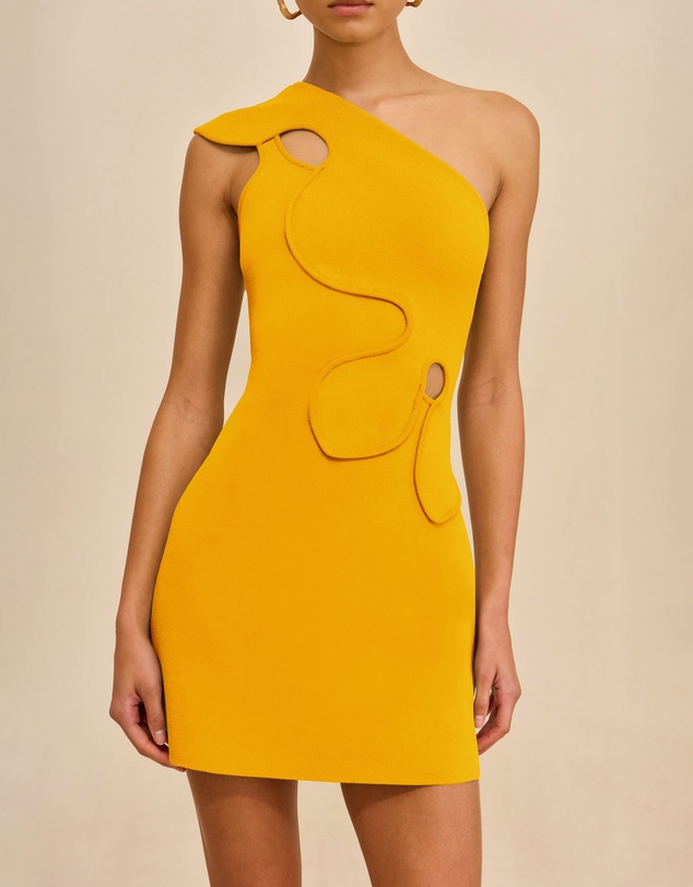 Cult Gaia - Labella Dress
