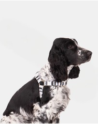 Mog & Bone - Hemp Dog Harness - Pebble Black Brush Stroke Print