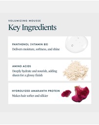 Virtue Labs - Volumizing Mousse