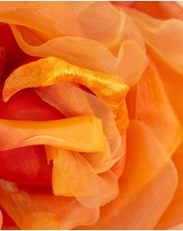 Fillies Collection - Large Orange Flower Fascinator Headband