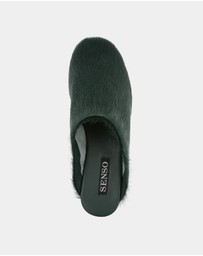 Senso - Caelan