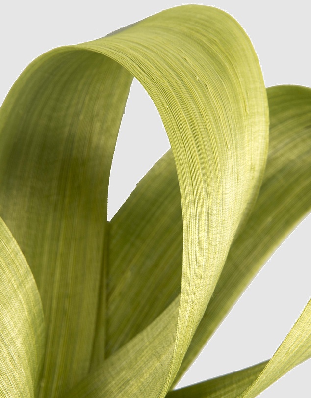 Fillies Collection - Lime Silk Abaca Loops Racing Fascinator