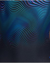 Speedo - Printed Hydrasuit One Piece