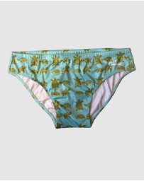 Salty Johnson - Turtles Brief