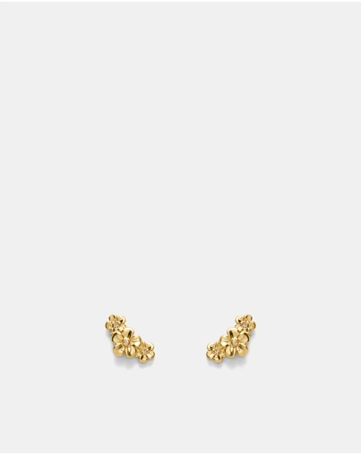 MIMCO - Garden Climber Stud Earrings