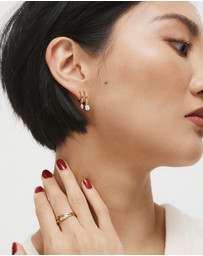 MIMCO - Emerge Double Hoop Earrings