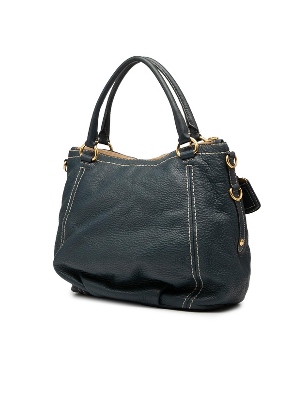Pre-Loved by Azura Reborn - Pre-Loved Vitello Daino Zip Top Satchel