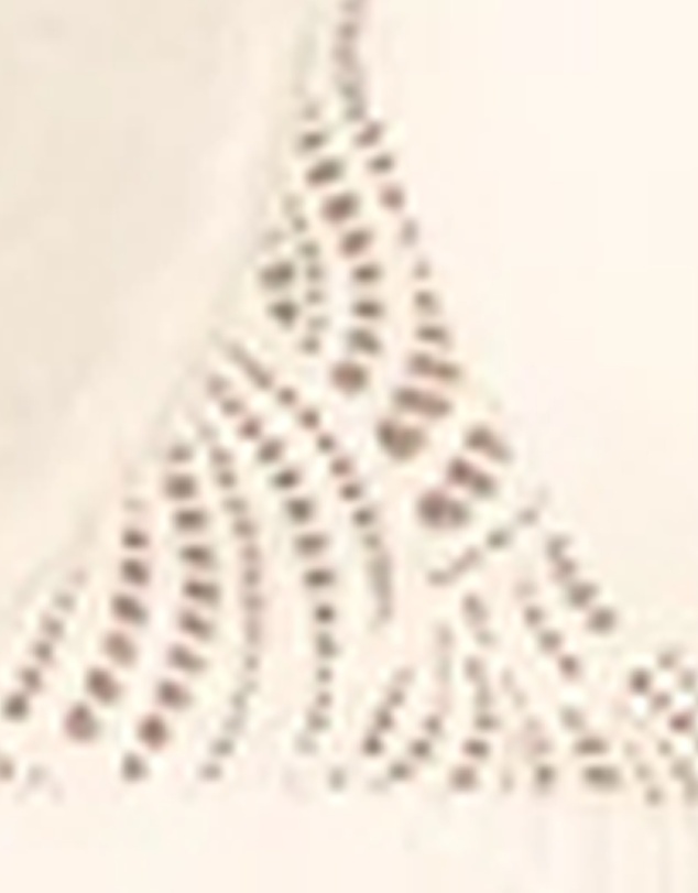 Naturana - The Friday Recycled Lace Lined Underwire Bra