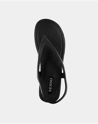 Senso - Nessa