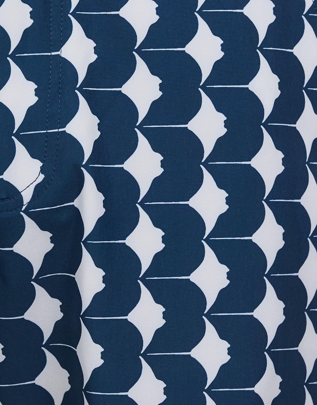 The Rocks Push - Blueys Swim Shorts Rays