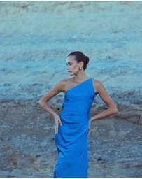 CATHERINE FERRARO - Alexis One Shoulder Gown